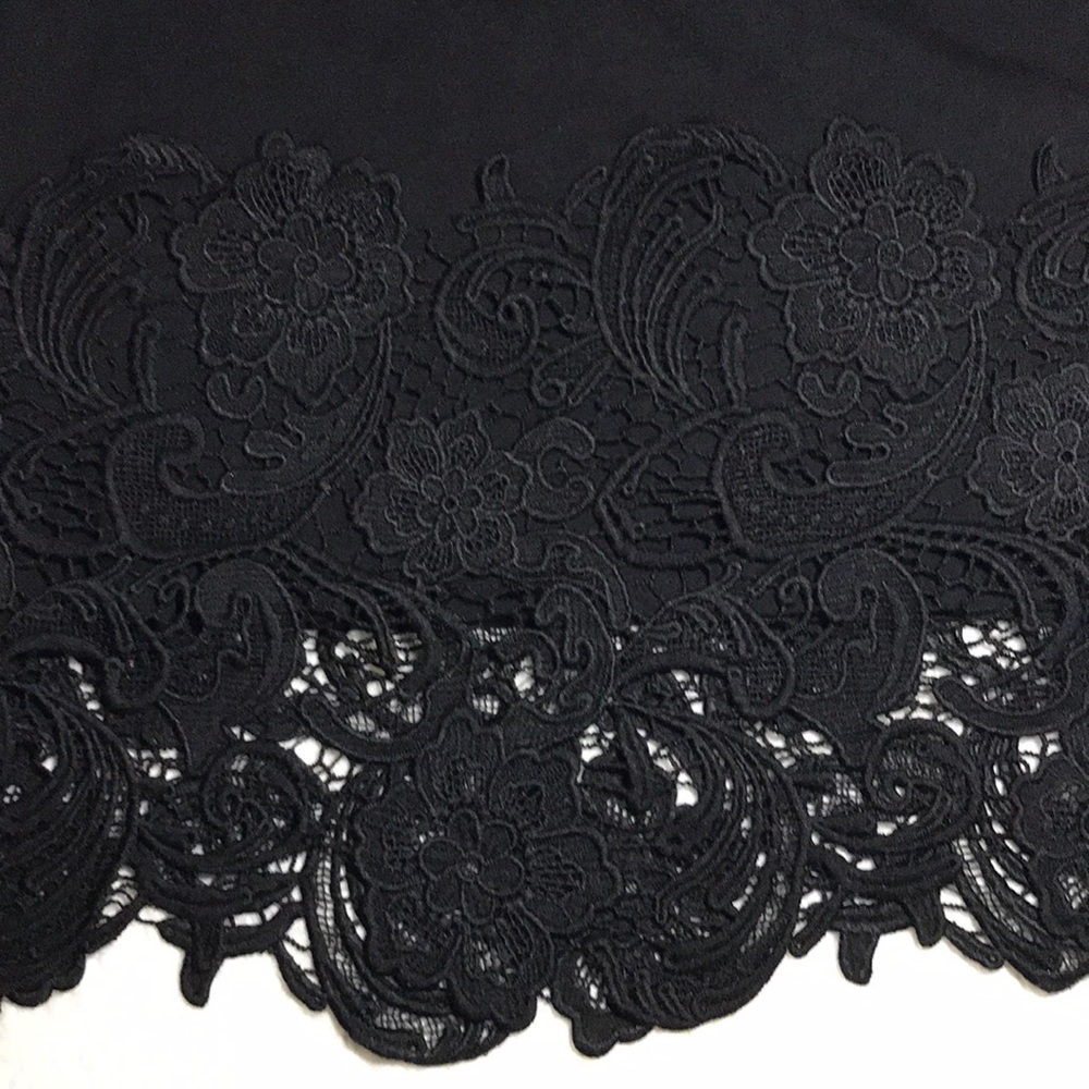 Lace Embroidered Black Skirt - Picture 7 of 10